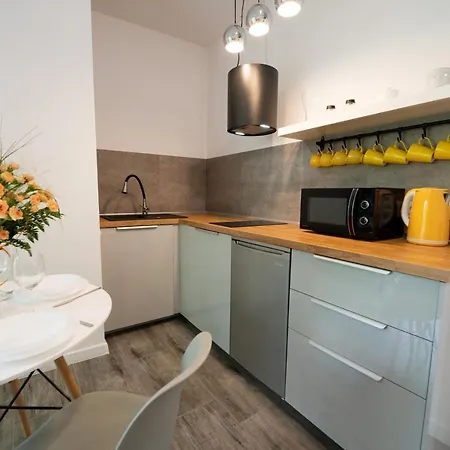 Apartamenty Nadrzeczna Nad Wisla Dream Apart Ustron Exterior foto