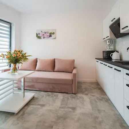 Apartamenty Nadrzeczna Nad Wisla Dream Apart Ustron Exterior foto