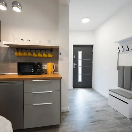 Apartamenty Nadrzeczna Nad Wisla Dream Apart Ustron Exterior foto
