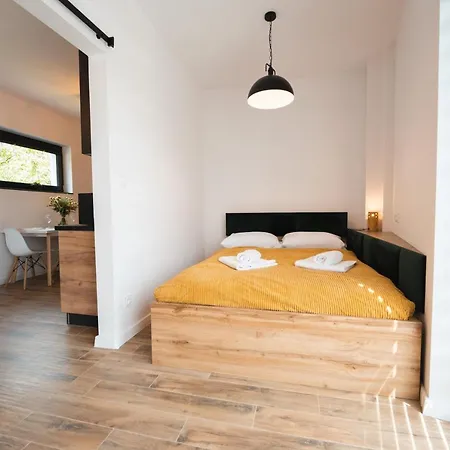 Apartamenty Nadrzeczna Nad Wisla Dream Apart Ustron Exterior foto