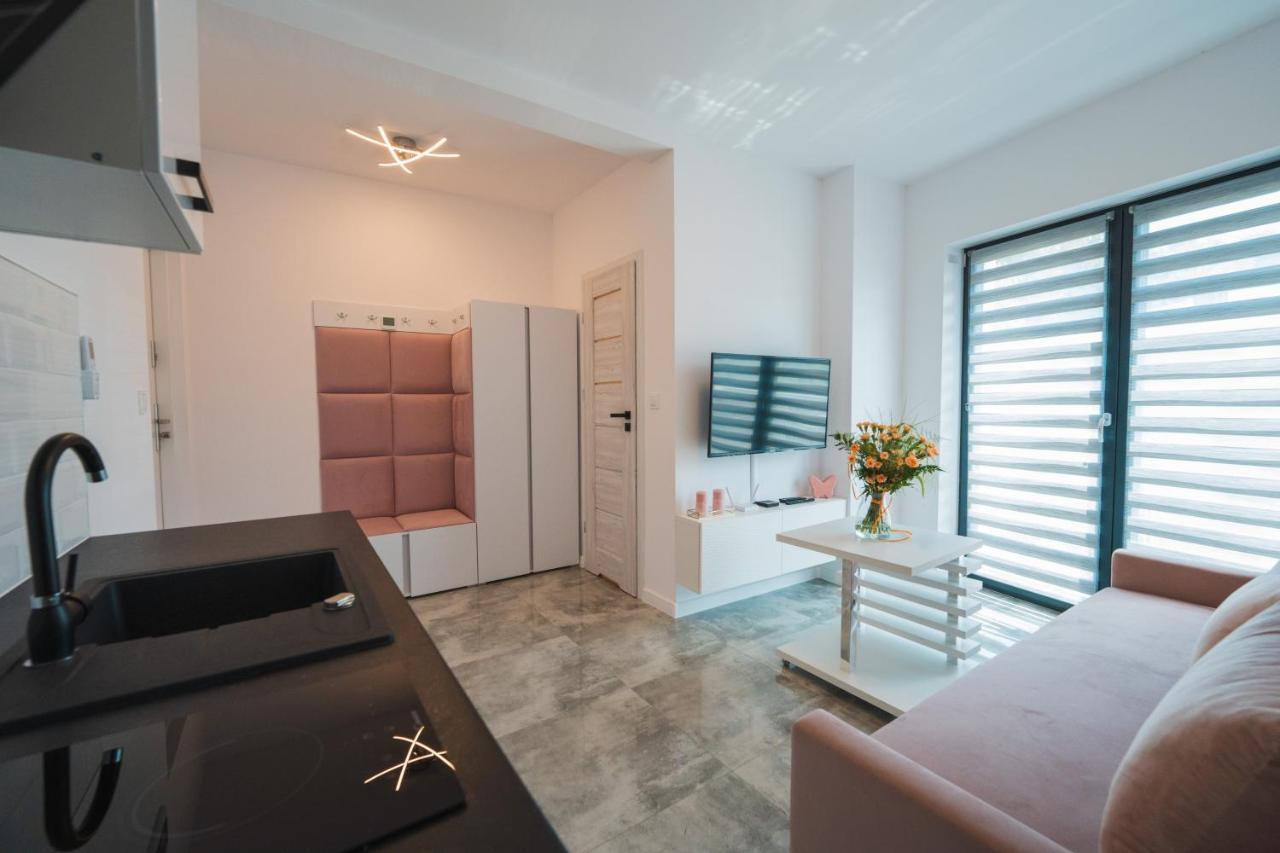 Nadrzeczna Nad Wisla Dream Apartment Ustron